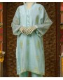 Organza 2Pc Stitched Suit-Green